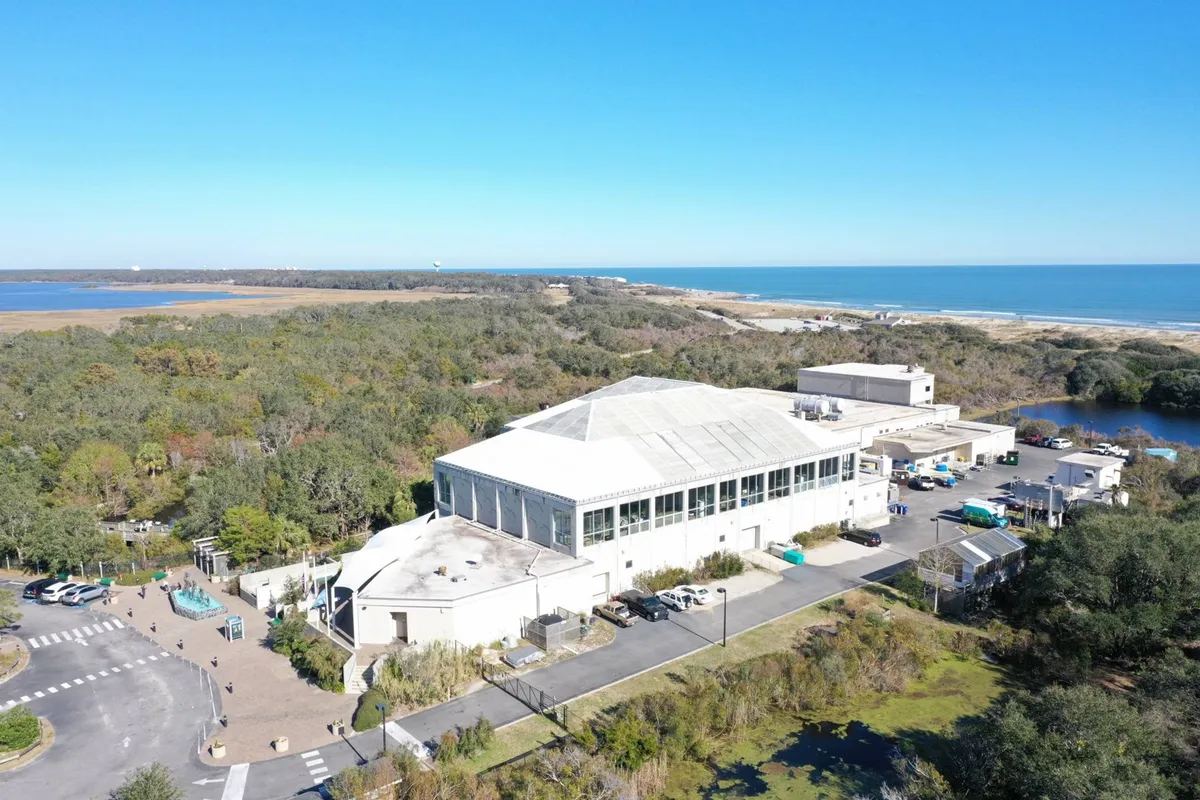 The main building is nestled among lush greenery with a sweeping coastal view and a visible parking area. The property stands out as inviting and modern, while the surrounding landscape hints at adventure and peacefulness.